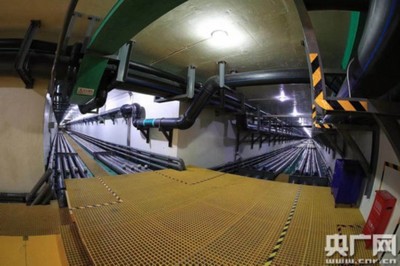 全國農廣采訪團走進天津靜海:綠色轉型帶來新動能